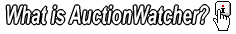 What is this Ebay Auction Software